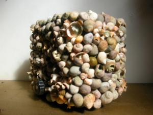 Pinhole camera made from hundreds of shells.